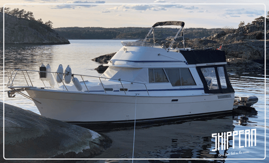 Forside Bayliner 3270